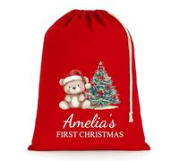 Chicken Craft Personalised Baby's First Christmas Santa Sack with Custom Name - Red - My 1st Xmas Keepsake Gift for Boys or Girls (Red Teddy, Medium)