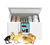 Chicken Egg Incubator, Duck Incubator with Observation Window, Poultry Incubation Box for Domestic Breeding of Ducks, Quail, Chicken
