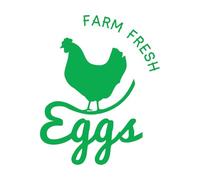 Chicken Eggs Farm Fresh Animal Bird Wall Decals PVC 36x46.5cm Self Adhesive Small Green