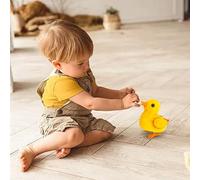 Chicken for Chickens Cute Children's Toys Toys Accompany Children To Grow Happily And Are Great(Batteries Not Included) Boy Easter (B, 14x10x17cm)