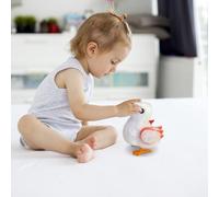 Chicken for Chickens Cute Children's Toys Toys Accompany Children To Grow Happily And Are Great(Batteries Not Included) Boy Easter (C, 14x10x17cm)