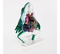 Chicken Frog Fish Rabbit Anatomical Model Animal Anatomy Biological Research Education
