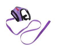 Chicken Harness and Leash Adjustable Chest Strap for Hens Purple