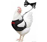 Chicken Harness and Leash,Hens Vest Harnesses Soft Mesh Breathable Adjustable for Duck Goose Rooster Parrot Small Pet Kitten Puppy Training Walking Black M