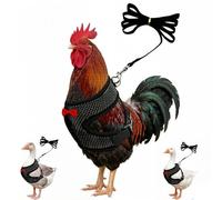 Chicken Harness and Leash Set Black m Adjustable Mesh Breathable Duck Training Harness Pets Leashs for Goose Hen Rooster Parrots Dog Kitten