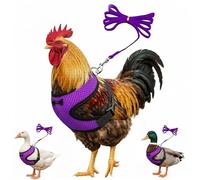 Chicken Harness and Leash Set Purple Large Breathable Duck Training Harness Pets Leashs for Goose Hen Rooster Parrots Dog Kitten