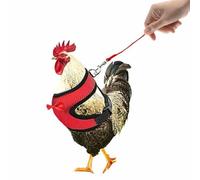 Chicken Harness | Pet Chicken Breathable Adjustable Kit | Comfortable | Resilient Running Set for Chickens, Geese, Rabbits, Portable Pet Chickens, Ducks, Training Vest