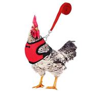 Chicken harnessand - Adjustable Breathable Poultry Vest Set, Comfortable Mesh Training Gear with Matching Belt | Hen Duck Pet harnessand Lead for Outdoor Exploration Backyard Activities