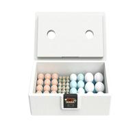 Chicken Incubator, 10-25 Eggs Incubator, Full-Coverage Insulation Box Hatcher, For Ducks, Turkeys, Other Birds, Reptiles Turtles And Parrots, 9.8×6.3×6.7 Inch