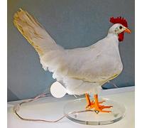 Chicken Lamp,Eggs Lamp,Chicken Egg Lam Table Lamp - Lifelike Resin Chicken Egg Lam Light, 3D LED Night Lights, Cute Kids Night Light, Taxidermy Chicken Egg Lamp for Home Bedroom Decoration