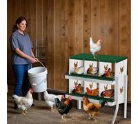 Chicken Nesting Box, 6-Compartment Heavy Duty Metal Hen Laying Box with Resting Platform & Breathable Holes, Wall Mounted/Floor for Easy Cleaning & Egg Protection, Ideal for Hens & Coops- Green w/leg