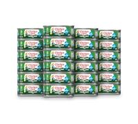 Chicken of the Sea Chunk Light Tuna in Water, Wild Caught Tuna, 6 Packs of 4-Count 5-Ounce Cans (24 Cans)