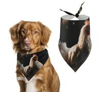 Chicken on A Branch Dog Bandana Triangle Dog Scarf Washable Polyester Dog Bibs Cute Pet Bandana for Medium Large Dogs Puppy and Cats