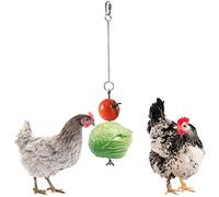 Chicken Parrot Bird Hanging Feeder, Chicken Veggies Skewer Fruit Holder Stainless Steel Feeder, for Poultry