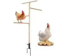 Chicken Perch for Coop | OutdooLarge Chicken Perch Toy - Metal Ground Plug-In Ou Poultry Chicken Stand Perch Toy - Metal Ground Plug-In Playground Perch Toy for Cockatiels, Lovebirds, Parrots, Turkeys
