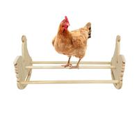 Chicken Pigs - Parrot Wooden Training Stand | Stable and Multifunctional Standing Toy for Domestic Birds | Interactive Parrot Training Tool for Parrots for