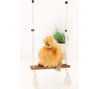 Chicken Swing