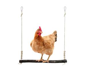 Chicken Swing Toy, Chicken Climbing Toy, Poultry Run Chick Toys, Backyard Farm Animals Playground, Animal Lovers Farmers Shelters Orchard, Yard Habitat Mountain Farm Supplies