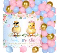 Chicken Themed Gender Reveal Party Decorations He or She What Will Our Little Baby Chick Be Backdrop Blue Pink Gold Balloons Garland Kit for Chicken Theme Baby Shower Chick Party Supplies