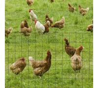 Chicken Wire Mesh, Foldable PVC Coated Fences, for Garden PawHut Green L