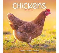 Chickens 2026 Calendar | Square Wall Calendar | Bird Gift | Plastic Free Packaging | by Avonside Publishing