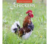 Chickens - 2026 Square Wall Calendar - by Red Robin Publishing