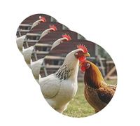 Chickens and Farm Car Air Freshener Cards for Women Men 4 Pack Cute Car Accessories Long Lasting Scent Car Diffuser Hanging Auto Aromatherapy Tablets Car Fresheners Gifts