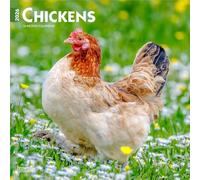Chickens - Hühner 2026 - 16-Monatskalender: Original BrownTrout-Kalender [Mehrsprachig] [Kalender]