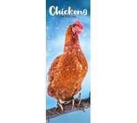 Chickens Slim 2026 Calendar | Slimline Wall Calendar | Bird Gift | Plastic Free Packaging | by Avonside Publishing