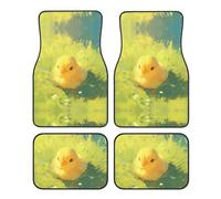 Chicks Durable Car Floor Mats, Easy to Clean, Fade Resistant Floor Mats (Set of 4), Keep Your car, Truck or Van Interior Clean,