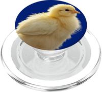 Chicks Fluffy Cute Yellow Chick PopSockets PopGrip for MagSafe