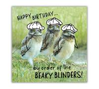 Chicks With Sticks Birthday Card Chicks in Caps., 6 x 6 inches