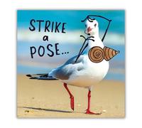 Chicks With Sticks Open Birthday Card Seagull With Stick Arms Posing, 6 x 6 inches