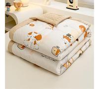 Chickwin Quilted Bedspreads Single Double King, Children Cartoon Animal Reversible Lightweight Microfiber Coverlets Comforter Easy Care Sofa Blanket Throw for All Season (Cat,150x200cm)