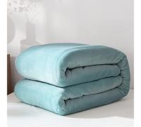 Chickwin Solid Color Flannel Blanket Throw Large for Sofa Warm Cozy Fluffy Blanket Soft Fleece Blankets Lightweight Microfiber Throw Blanket for Couch Chairs Bed (Mint green,180x200cm)