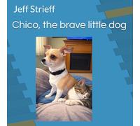 Chico, the brave little dog