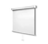 CHICOLOGY Roller Window Shades, Window Blinds, Window Shades for Home, Roller Shades, Window Treatments, Window Blinds Cordless, Door Blinds, Byssus White (Blackout), 46" W X 72" H