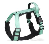 CHICTRY Reflective Dog Harness with Handle and Dual Leash Clips Adjustable Lightweight Harnesses for Training Light Green S