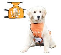 CHICTRY Waterproof Dog Bib Apron for Eating Drinking Anti Dirt Belly Protector for Small Dogs Soft Comfy Vest Indoor Outdoor Orange XXL