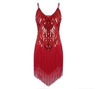 CHICTRY Womens Adult Sleeveless Sequin Fringe Tassels Ballroom Samba Tango Latin Dance Dress Red One Size