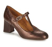 Chie Mihara Heels AFAN in Brown 5