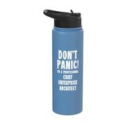 Chief Enterprise Architect Stainless Steel Insulated Water Bottle