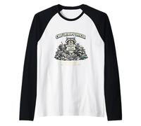 Chief Entropy Officer Embrace The Chaos Thermodynamically Raglan Baseball Tee