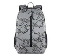 CHIEMSEE backpack Jump N Fly Backpack L Grey