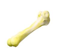 Chien Bone Chew Toy, Bone Dog Toy | Interactive Dog Toy - Molaros Dog Toys, For Aggressive Mincers, Medium Large Breeds, Dog Toys,