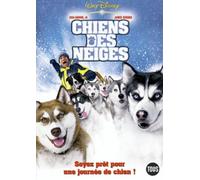 Chiens des Neiges - Soyez Prêt pour une Journée de