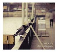 Chihei Hatakeyama - Bare Strata [Japan CD] WHACD-12