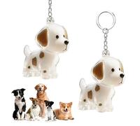 CHIHOLEN Pack of 2 Key Rings for Dog Hair Collector, DIY Dog Hair Pendant, Dog Hair Holder, Transparent Dog Hair Storage Capsules, Creative Memorial Gifts for Animal Lovers (C)