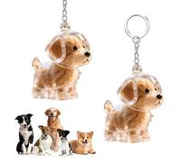CHIHOLEN Pack of 2 Key Rings for Dog Hair Collector, DIY Dog Hair Pendant, Dog Hair Holder, Transparent Dog Hair Storage Capsules, Creative Memorial Gifts for Animal Lovers (A)