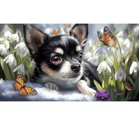 Chihuahua 1000 Piece Jigsaw Puzzles for Adults Family Challenge Toys Jigsaw Puzzle Home Decors for Adults and Kids Age 12 Years Up 75x50cm/1000pcs